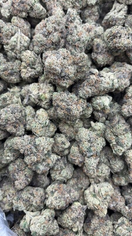 Russian Runtz Strain Review 2026 – Effects, Flavor, Aroma & Wholesale Guide 3 limonene dominant strain