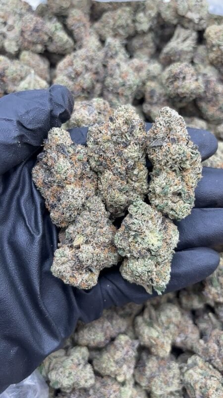 Russian Runtz Strain Review 2026 – Effects, Flavor, Aroma & Wholesale Guide 2 russian runtz pound