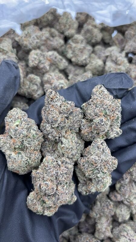 Russian Runtz Strain Review 2026 – Effects, Flavor, Aroma & Wholesale Guide 4 Lemon Cherry Runtz