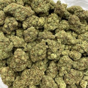 Alternative view of MANGO MARGARITAS