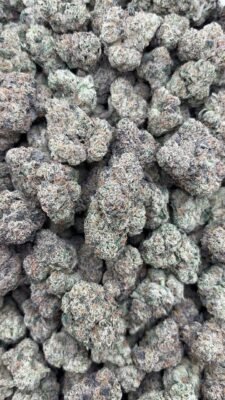 Russian Runtz Strain