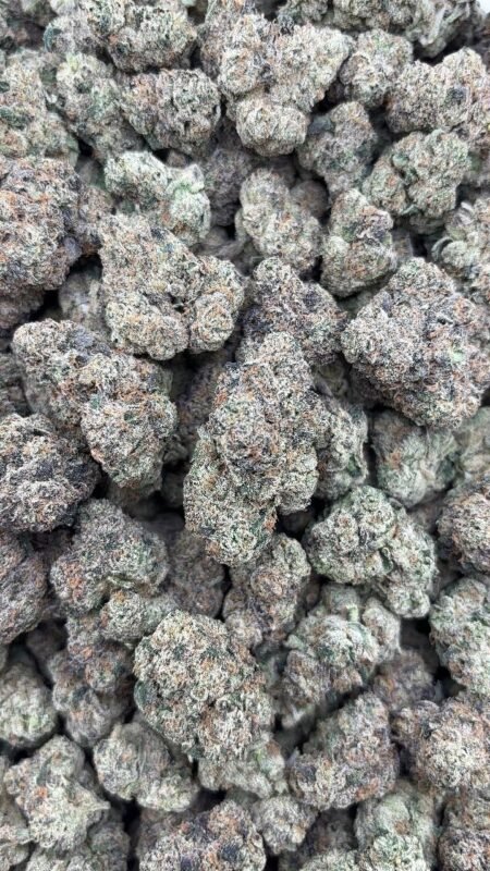 Russian Runtz Strain Review 2026 – Effects, Flavor, Aroma & Wholesale Guide 2 Russian Runtz Strain