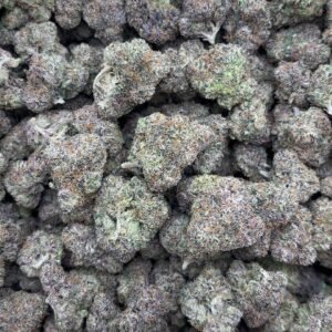 Alternative view of CANDY GAS