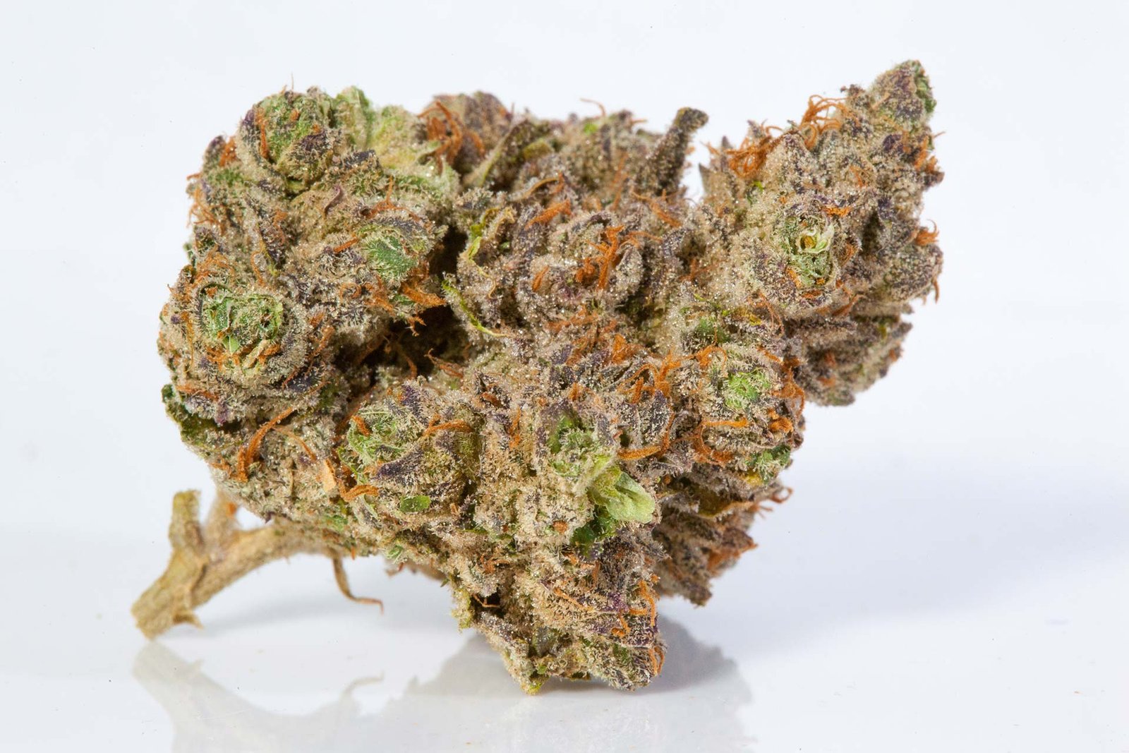 Stardawg Strain